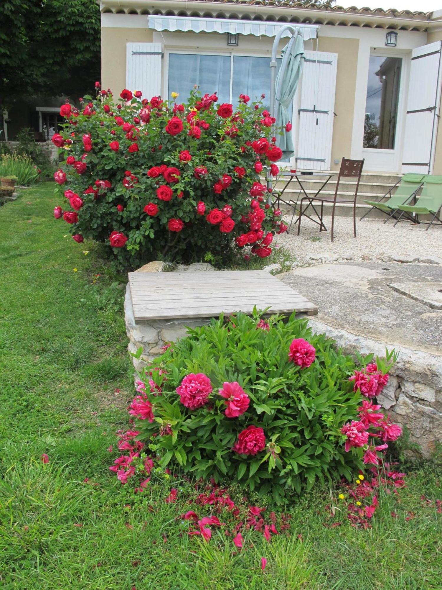 Lou Cardalines Bed & Breakfast Bédoin Dış mekan fotoğraf