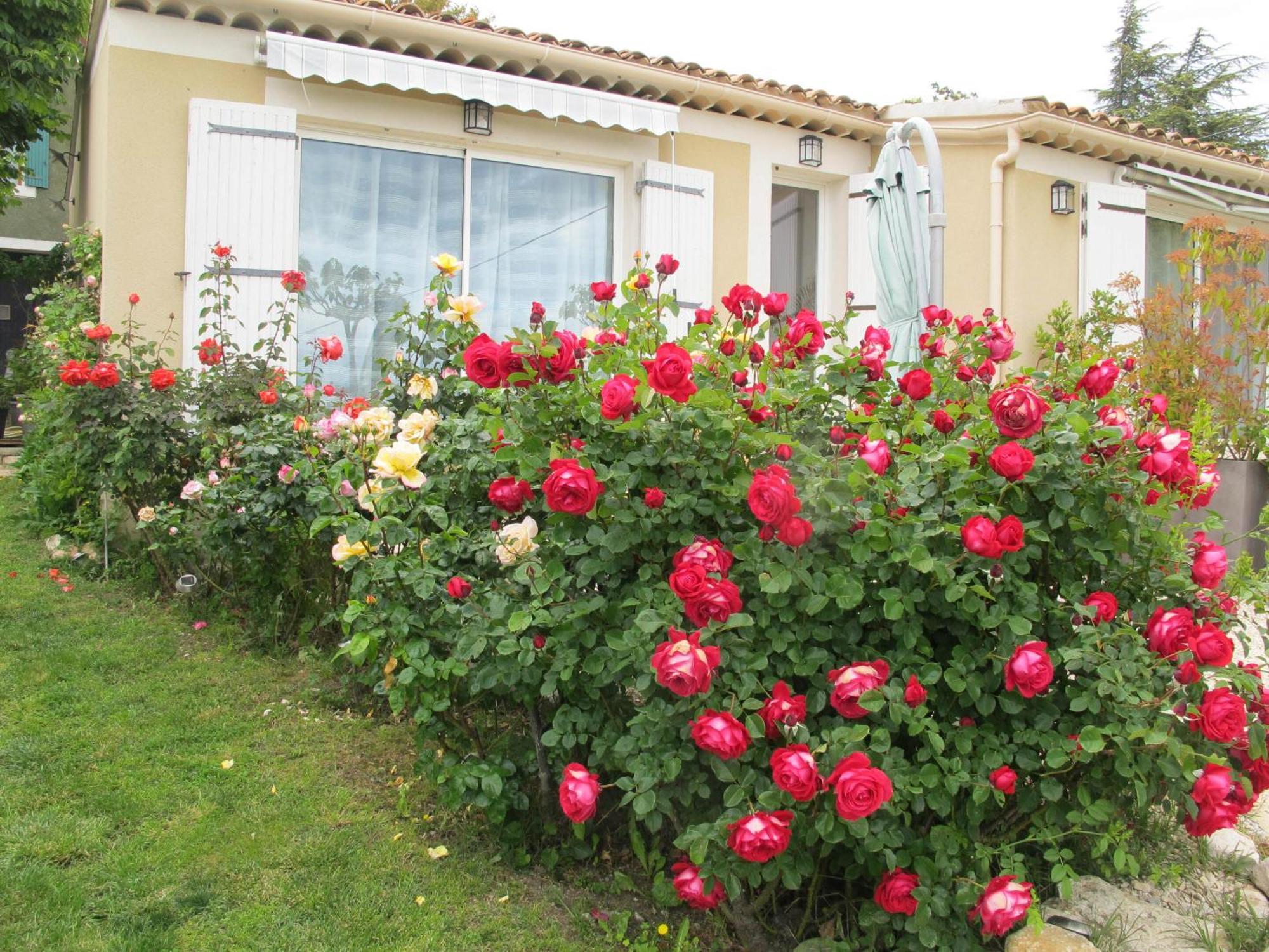 Lou Cardalines Bed & Breakfast Bédoin Dış mekan fotoğraf