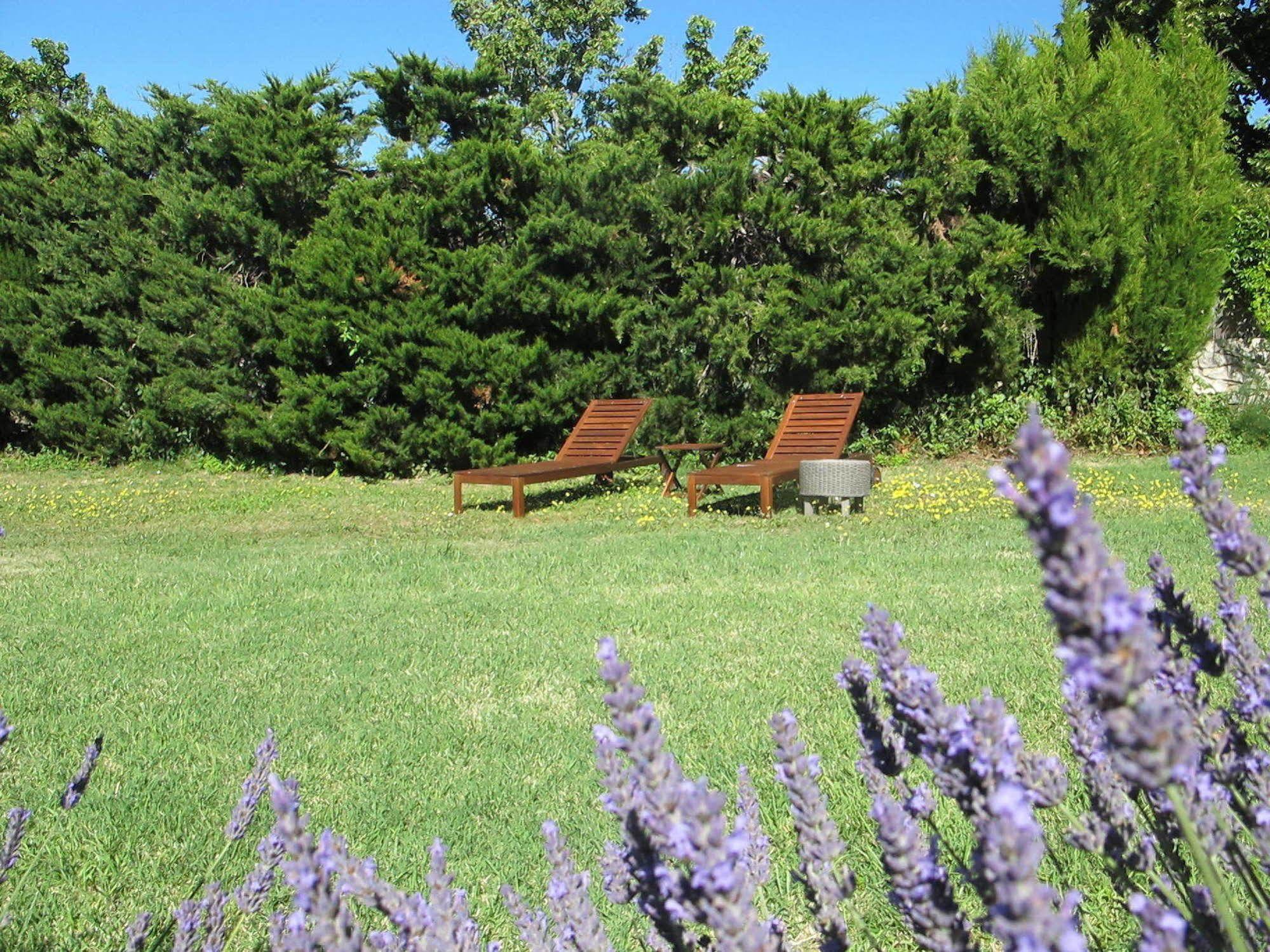 Lou Cardalines Bed & Breakfast Bédoin Dış mekan fotoğraf